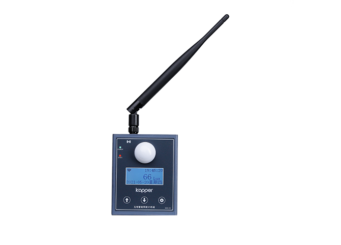 Wireless intelligent illumination meter terminal
