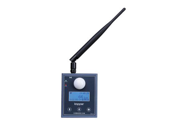 Wireless intelligent illumination meter terminal