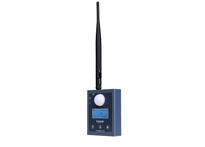 Wireless intelligent illumination meter terminal