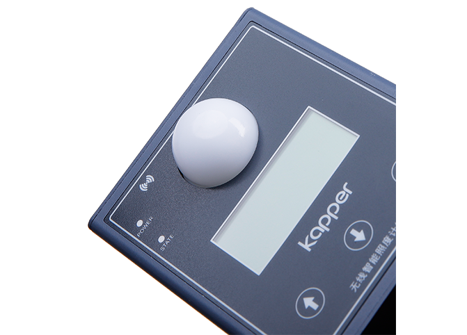 Wireless intelligent illumination meter terminal