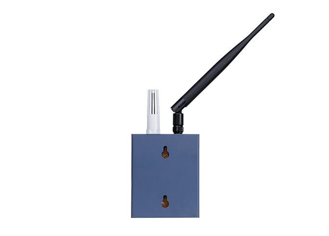 Wireless intelligent thermometer