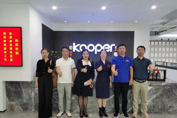 Leaders of Yizhang County Party Committee and County Government visited Kapal to guide the work