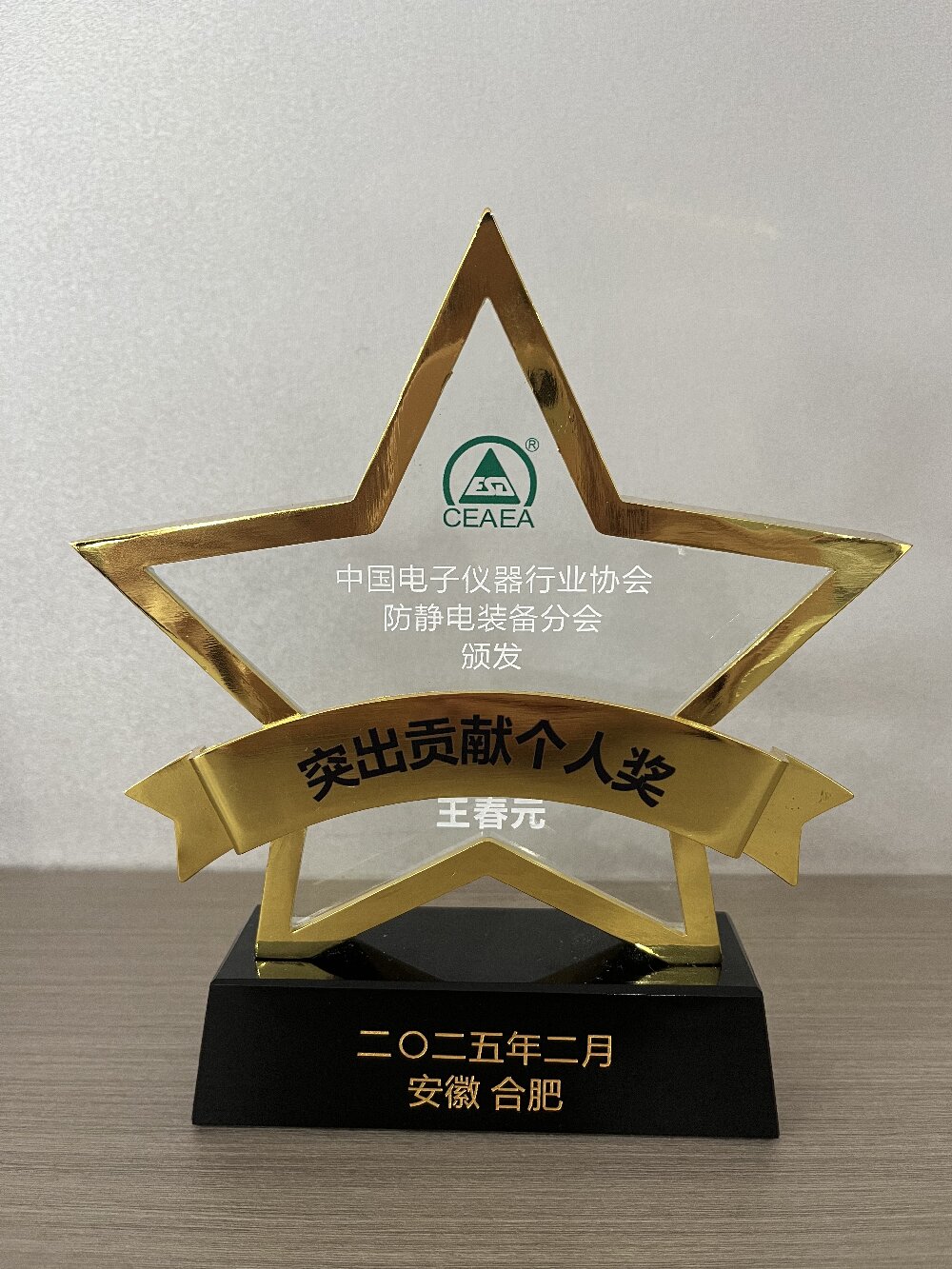 Outstanding Contribution Individual Award