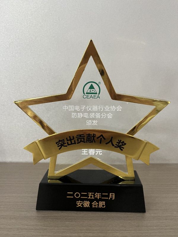 Outstanding Contribution Individual Award